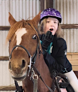 Shannon Trails Equestrian Facility ~ Riding School